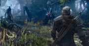 CD Projekt Red po stronie użytkowników: Wiedźmin 3 będzie wolny od DRM-ów