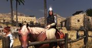 Pierwsza galeria z Mount & Blade II: Bannerlord