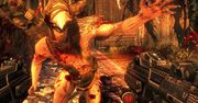 Nowy zwiastun Shadow Warrior — Wangtastic Features