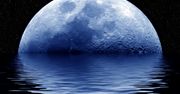 Pale Moon idzie swoją drogą: wprowadza wersję 64-bit i zrywa z Windows XP