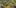 Civilization VI: 60 tur jako Qin Shi Huang za darmo na Steamie