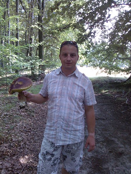 Obraz