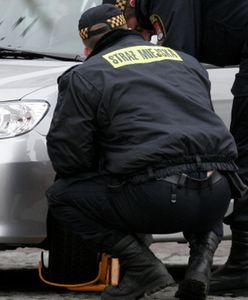 Straż miejska zajmuje się głównie kierowcami