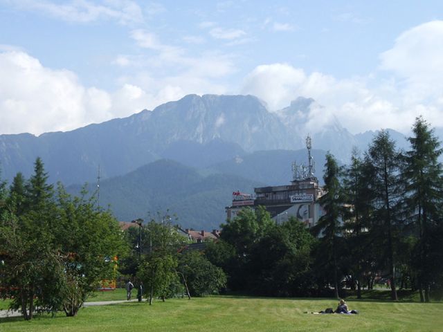 Obraz