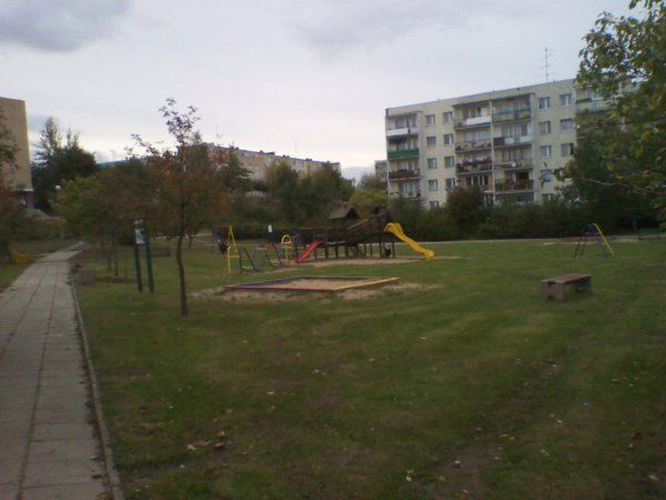 Obraz