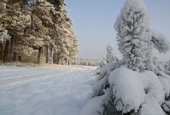 Nietypowa akcja policji. Kobieta utknęła w lesie i nie wiedziała, gdzie jest