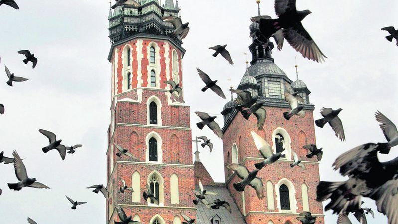 Gołębie z krakowskiego Rynku tym razem nie zostały zatrudnione do promocji miasta