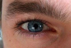 Dlaczego osoby inteligentne nie mogą znaleźć pracy?