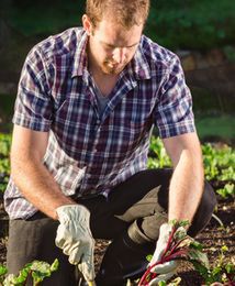 Rząd przedłużył składkę zdrowotną dla rolników