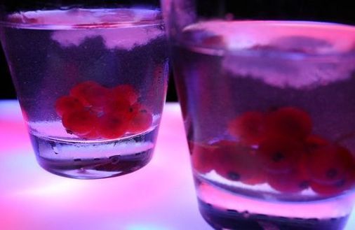 Zawodowy kompan do butelki