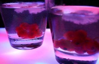 Zawodowy kompan do butelki