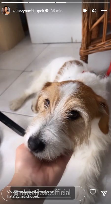 Kasia Cichopek dodała urocze wideo