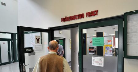 369 zawodów regulowanych wspiera bezrobocie młodych