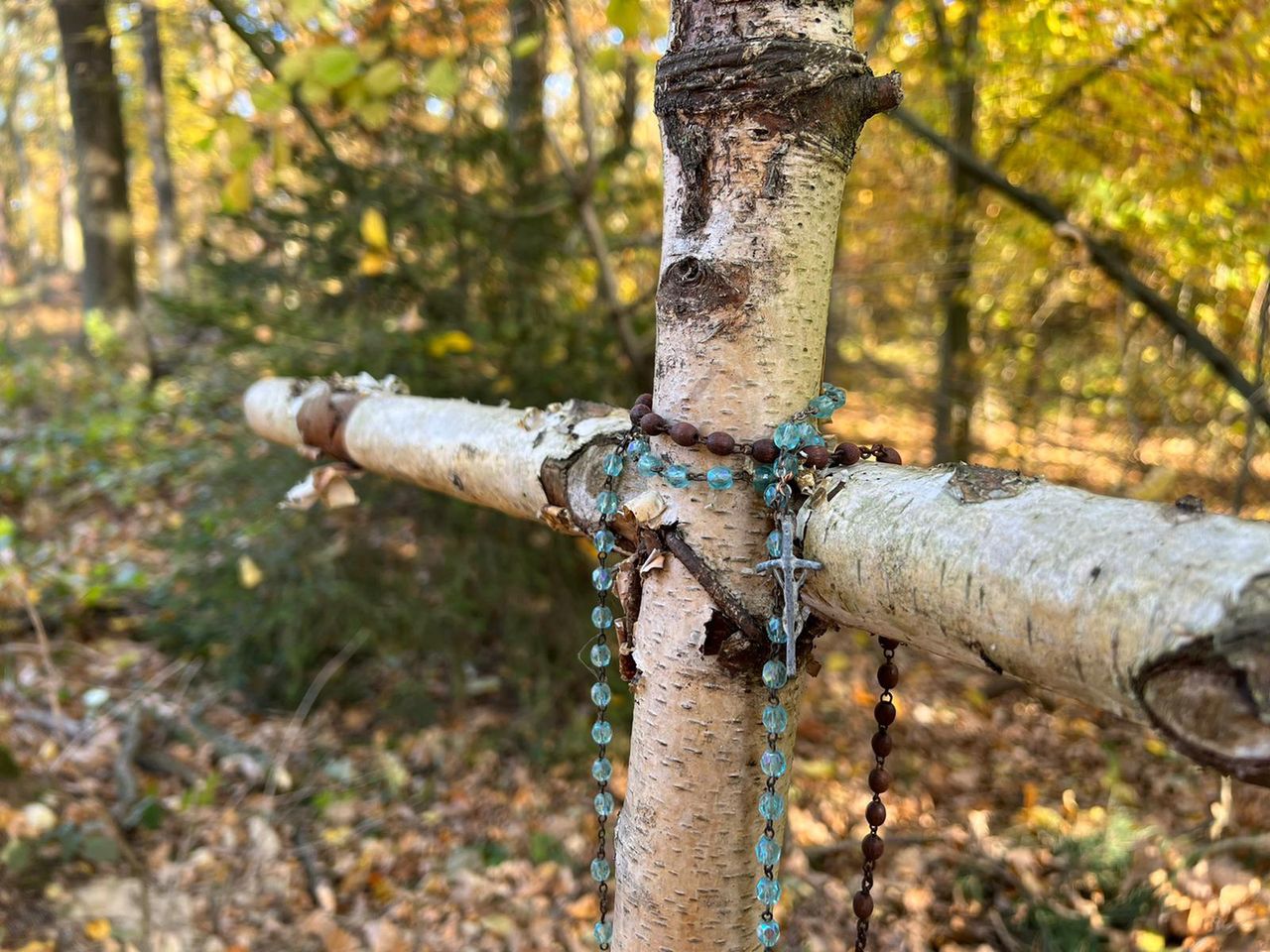 Rzędziany: Wyjątkowy cmentarz dla zwierząt pod Białymstokiem