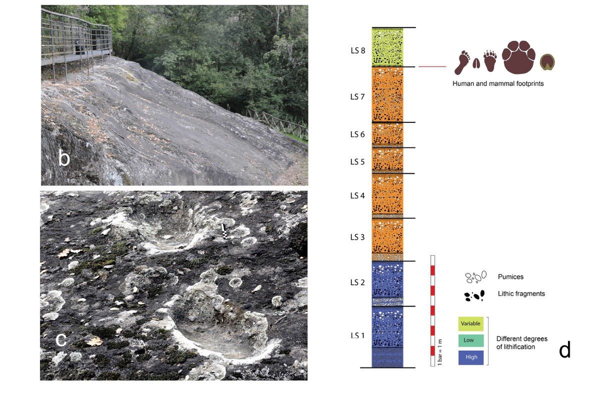 Ślady na wulkanie Roccamonfina (Quaternary)