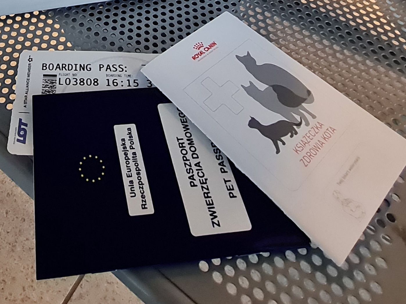 W podręcznym bagażu musimy mieć paszport zwierzęcia i bilet. Przyda się także książeczka zdrowia i plastikowe szelki