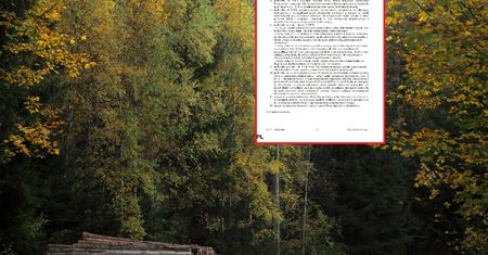 Kontrowersyjne głosowanie w PE i spór o polskie lasy. "To manipulacja PiS"