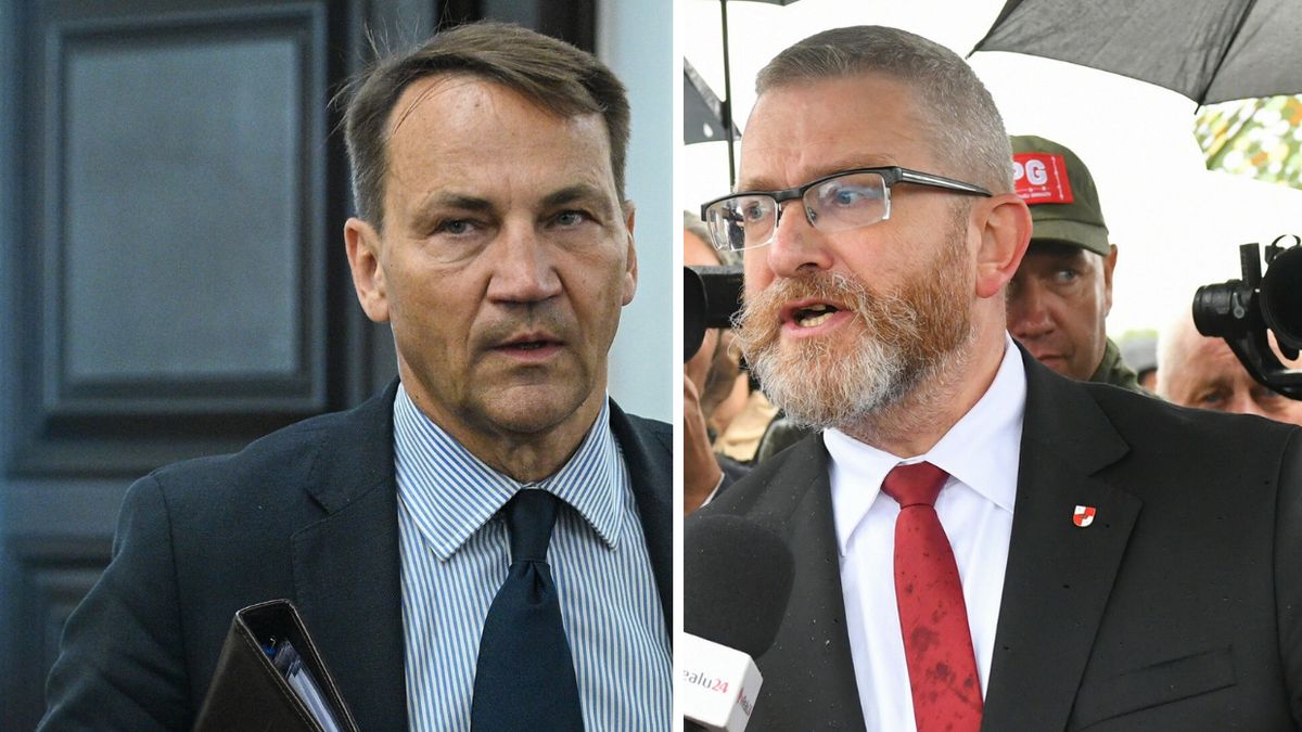 Sikorski uderza w Brauna