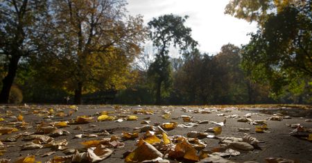 Pogoda. Warszawa. Poniedziałek, 26 października. Przejściowe zachmurzenie