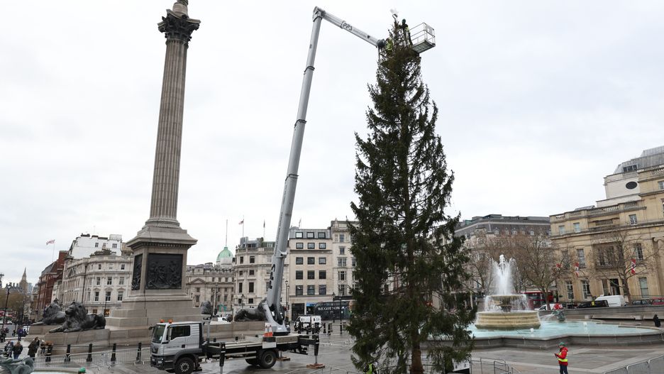 Workers put the finishing touches to the Trafalgar Square Christmas Tree ahead of the lighting ceremony later this week. Picture date: Tuesday November 30, 2021. (Photo by James Manning/PA Images via Getty Images)