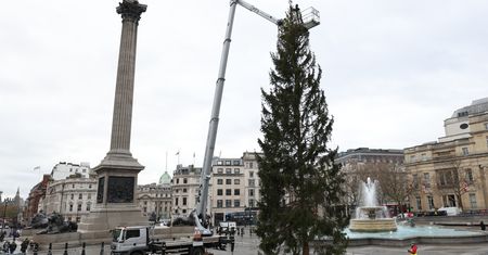 Norwegowie załamali londyńczyków pokraczną choinką