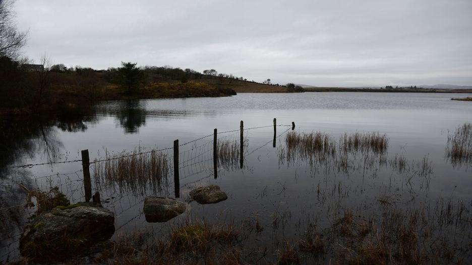 Katowice. Zwłoki kobiety wyłowiono ze zbiornika wodnego w Dolinie Trzech Stawów. Zdjęcie ilustracyjne
