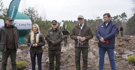"Oczekiwanie ministra" wobec leśników: lasy Jana Pawła II w całej Polsce