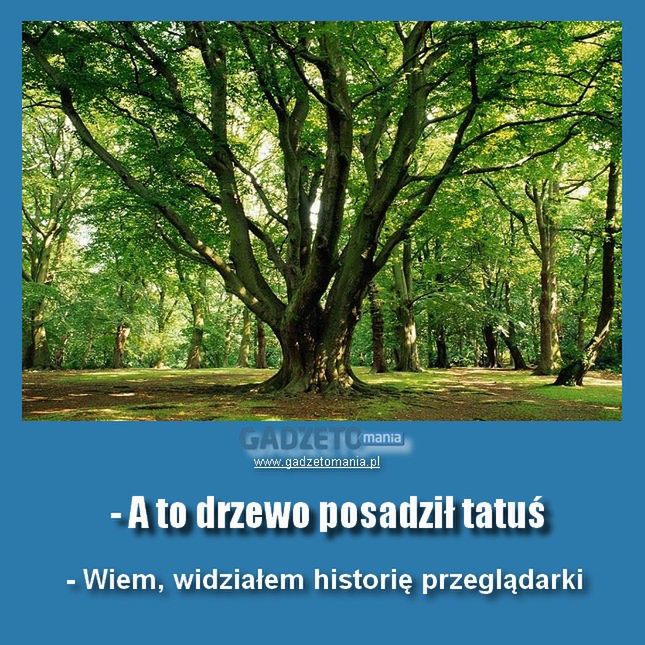 Oglądaj porno, sadź drzewa. Pornografia wkracza na internetowe salony 4