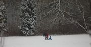 Chorzów: Zima w Parku Śląskim. Piękne miejsce na klimatyczny spacer