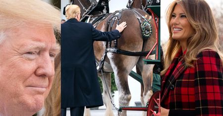 Donald Trump czule gładzi świątecznego konia po zadzie (ZDJĘCIA)