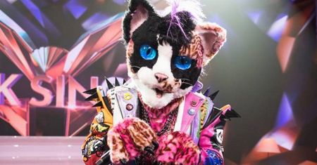 "Mask Singer". Kot zdemaskowany. Niektórzy myśleli, że to Milowicz