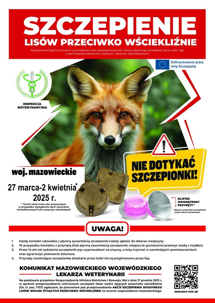 Szczepienia lisów