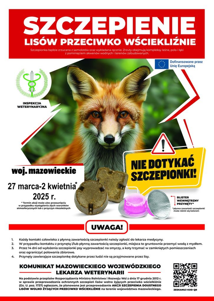 Szczepienia lisów