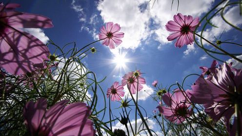 Wiosna, nareszcie wiosna! - zobacz 15 wiosennych fotografii 1