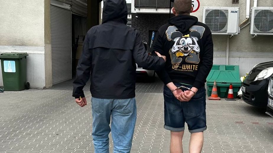 policja