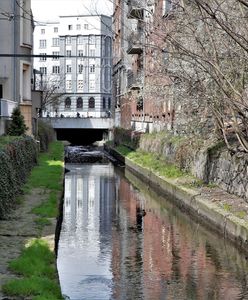 Katowice. Czystsza Rawa. Z jej koryta wyciągnięto... lodówkę