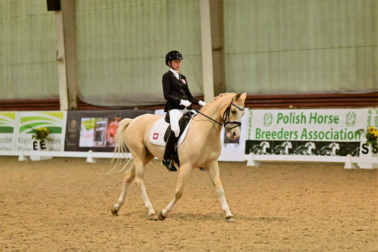 Zawody Ogólnopolskie w ujeżdżeniu już 13–15 czerwca