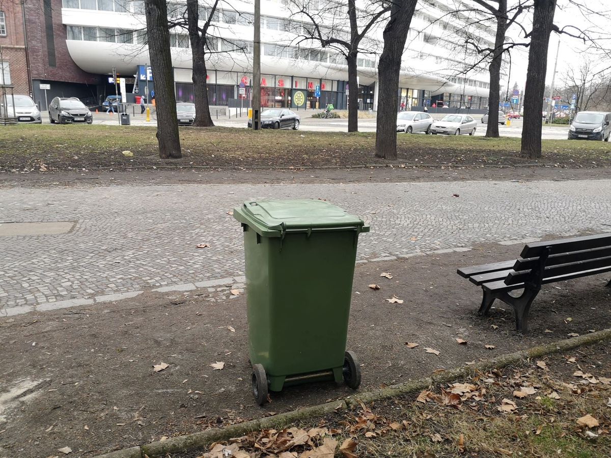 Wrocław. Mieszkańcy odreagowują lockdown. Tłumy na Słodowej, potrzeba więcej kubłów