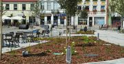 Skierniewice: Rusza głosowanie na 58 projektów Budżetu Obywatelskiego
