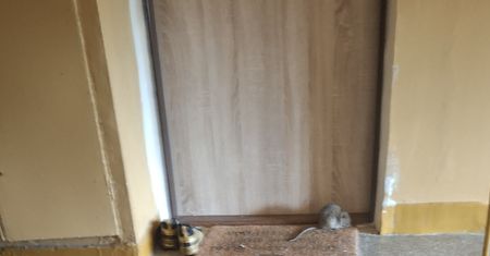 Na tym osiedlu grasują szczury. Jeden nocował na wycieraczce