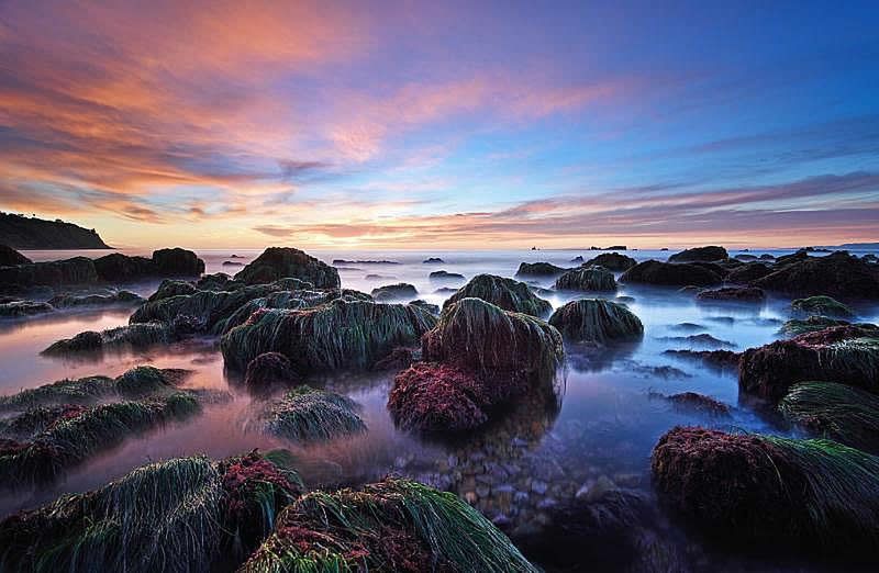 Znamy zwycięzców konkursu International Garden Photographer of the Year 2016 12