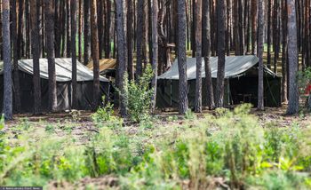 Związek harcerzy krytykuje opiekunów. "Nie są naszym standardem"