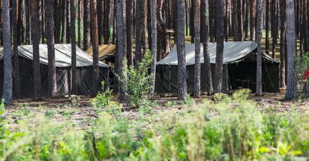 Związek harcerzy krytykuje opiekunów. "Nie są naszym standardem"