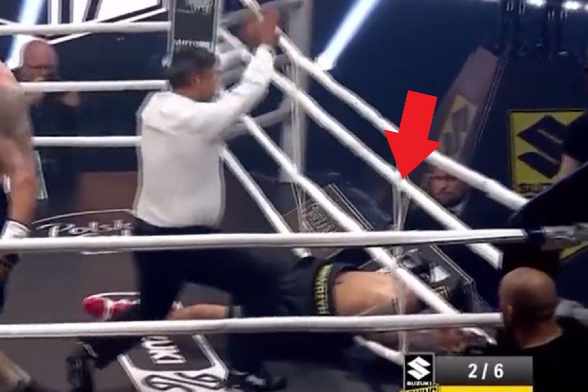 Michał Bołoz nokautuje Andrzej Wawrzyka