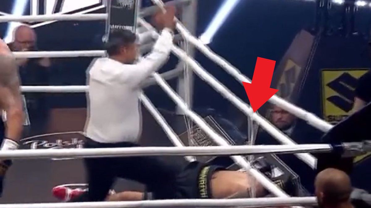 Michał Bołoz nokautuje Andrzej Wawrzyka