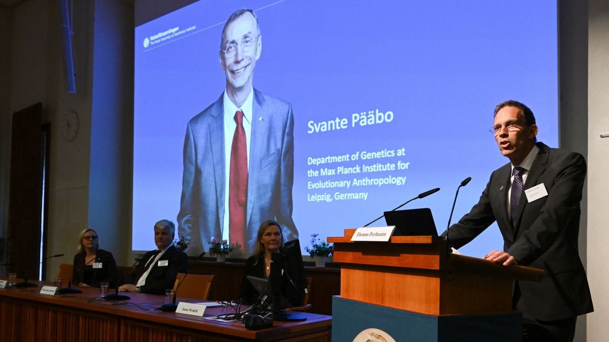 Temporary
Secretary of the Nobel Committee for Physiology or Medicine Thomas Perlmann (R) announces the winner of the 2022 Nobel Prize in Physiology or Medicine Sweden's Svante Paabo, during a press conference at the Karolinska Institute in Stockholm, Sweden, on October 3, 2022. (Photo by Jonathan NACKSTRAND / AFP)
JONATHAN NACKSTRAND