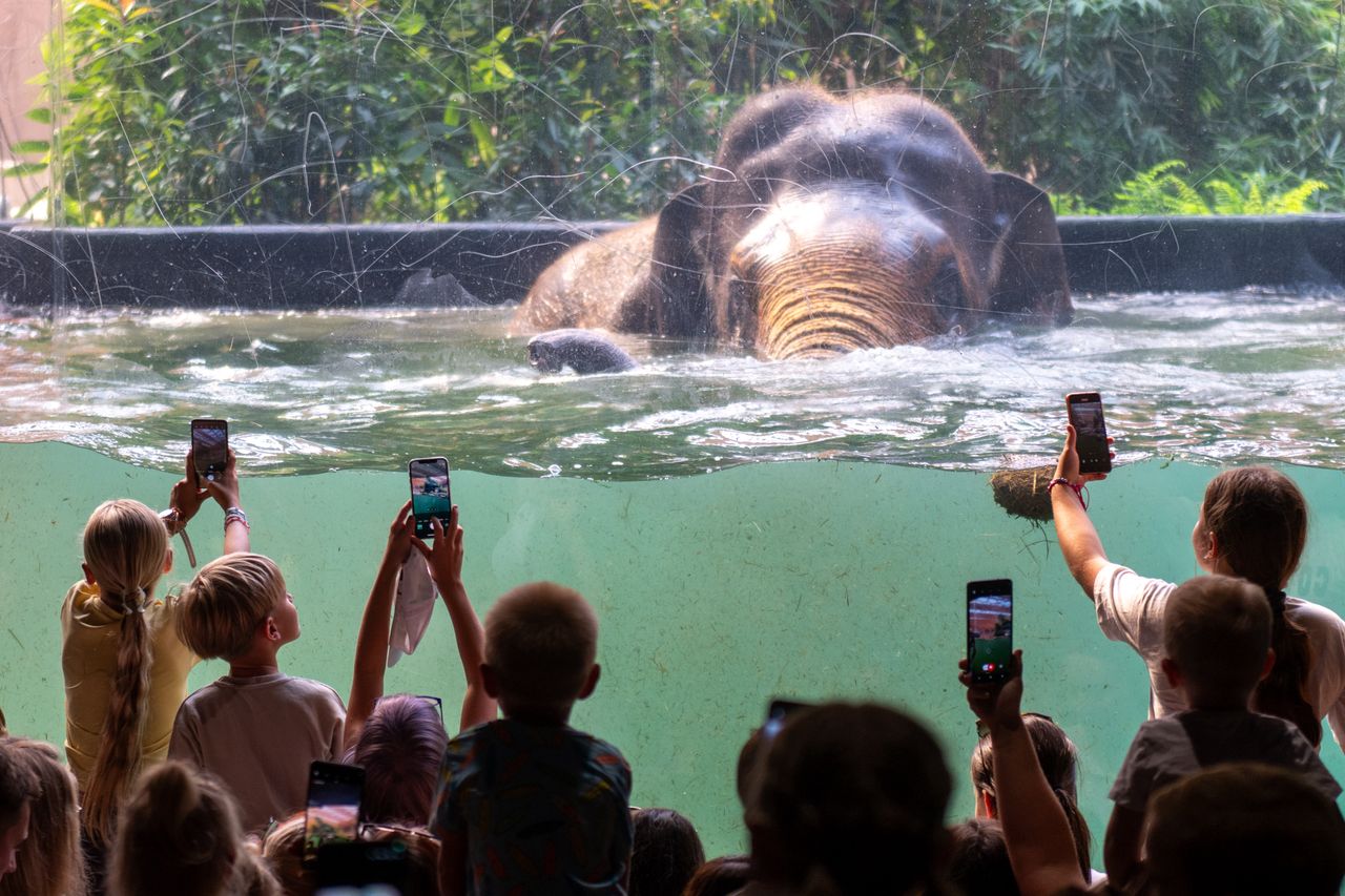 Tłumy w zoo w Łodzi. "To mega frekwencja"