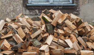 Ceny opału w nadleśnictwach. Tyle kosztuje metr drewna