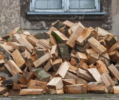 Ceny opału w nadleśnictwach. Tyle kosztuje metr drewna