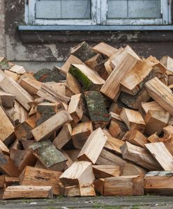 Ceny opału w nadleśnictwach. Tyle kosztuje metr drewna